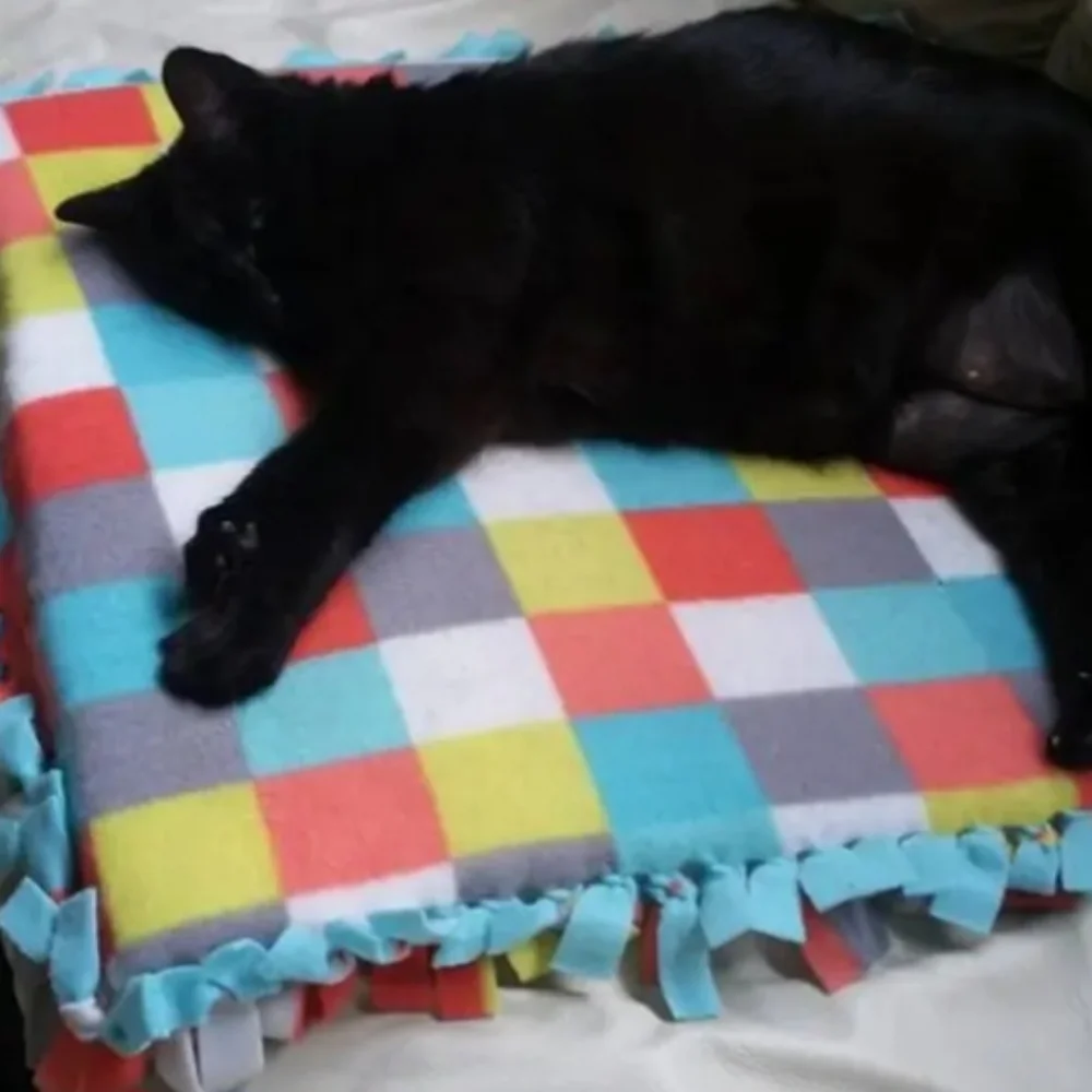 Cat beds and throws